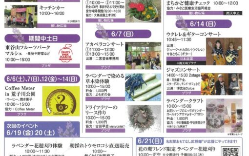 20260606荒子川　ラベンダーフェア裏のサムネイル